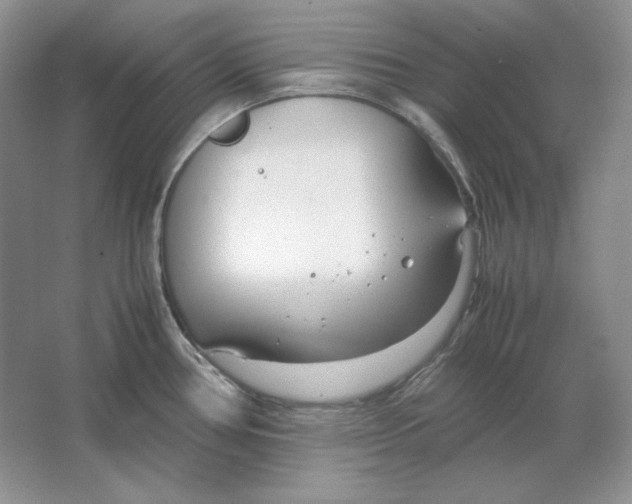 X0000064731386200603031630