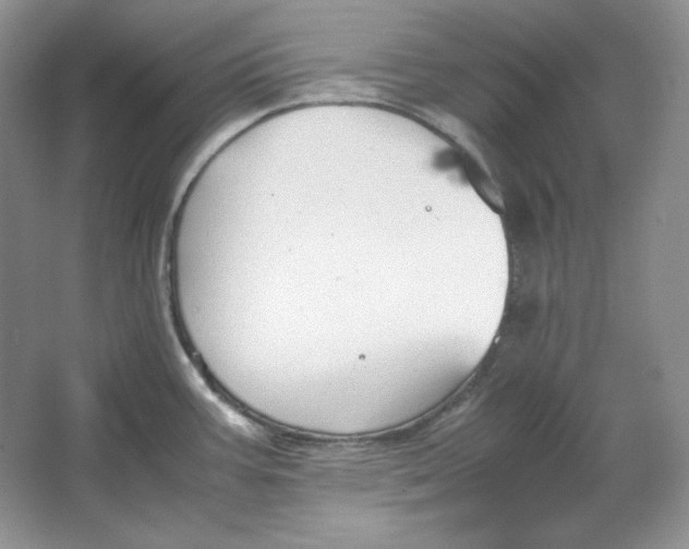 X0000064731387200603031630