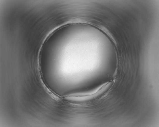 X0000064731388200603031630