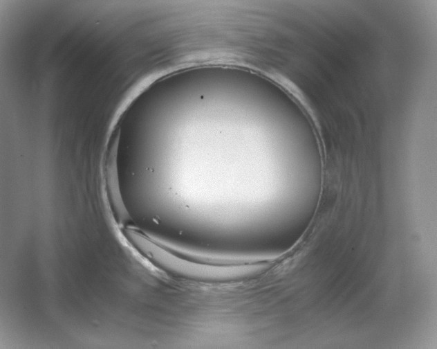 X0000064731389200603031630