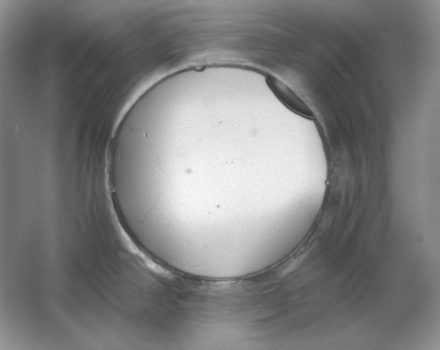 X0000064731390200603031630