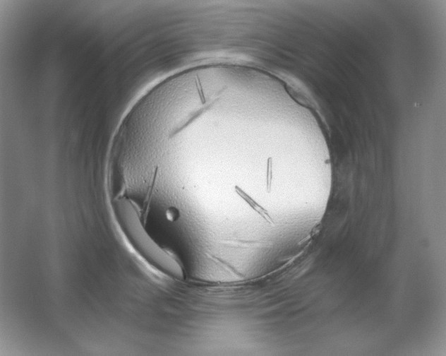 X0000064731391200603031630