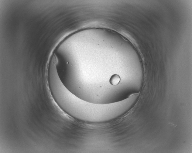 X0000064731392200603031630