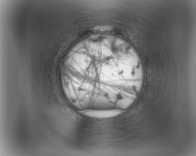 X0000064731393200603031629