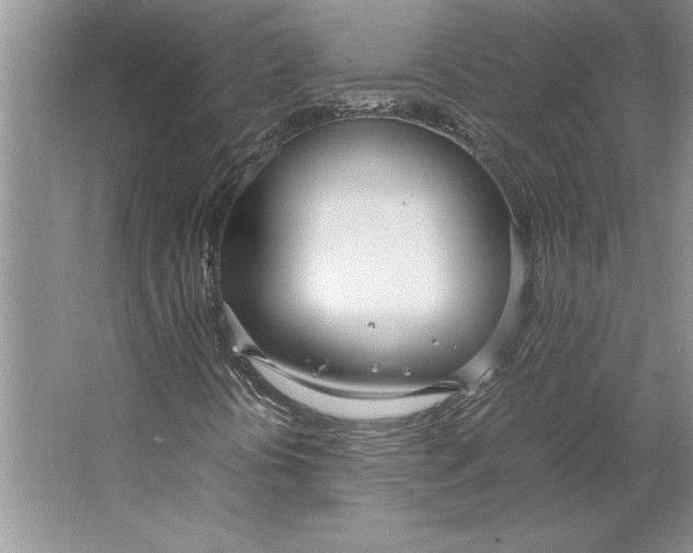 X0000064731394200603031629