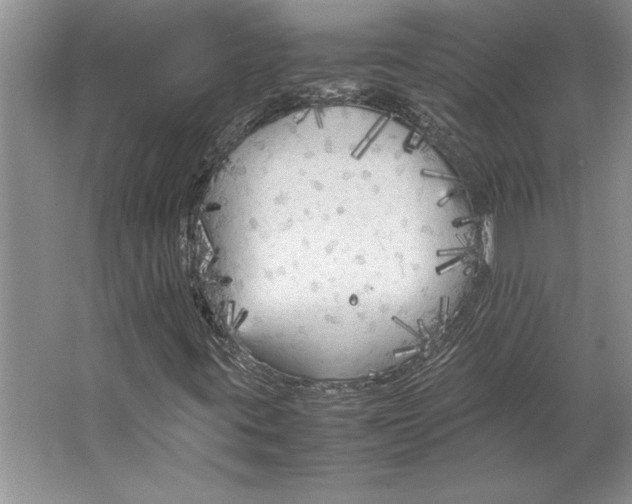 X0000064731395200603031629