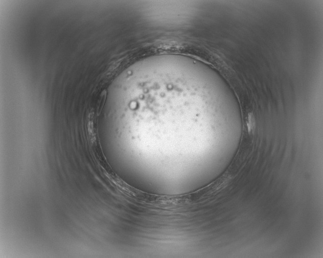 X0000064731396200603031629