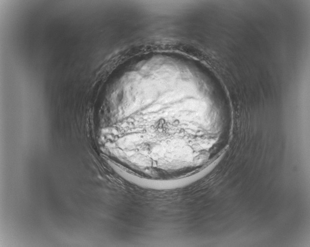 X0000064731397200603031629