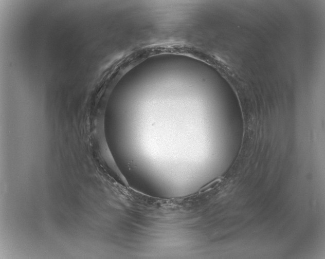 X0000064731398200603031629