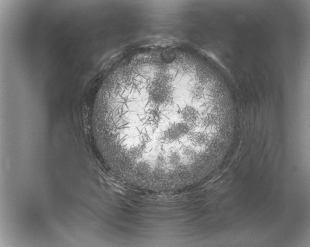 X0000064731399200603031629