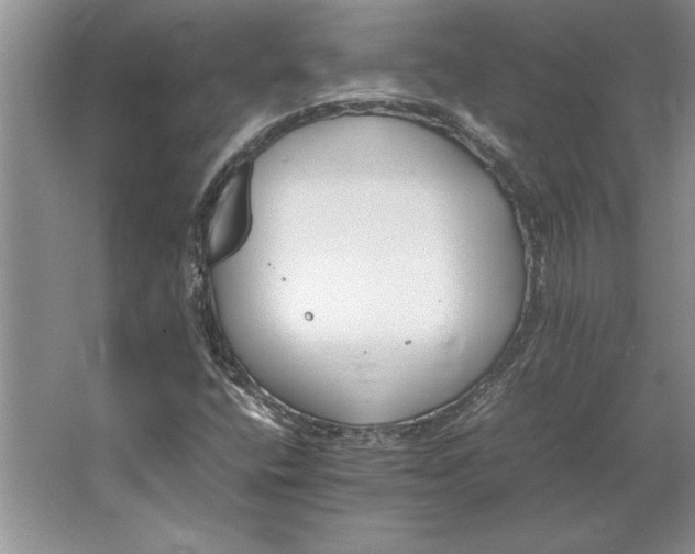 X0000064731400200603031629