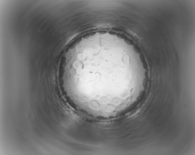 X0000064731401200603031629