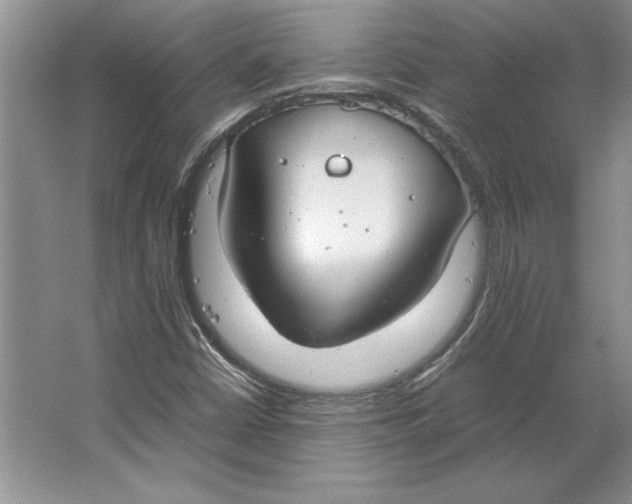 X0000064731402200603031629