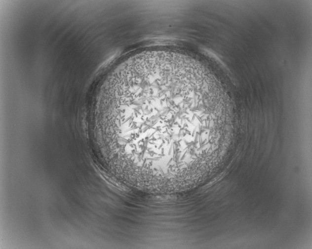 X0000064731403200603031629