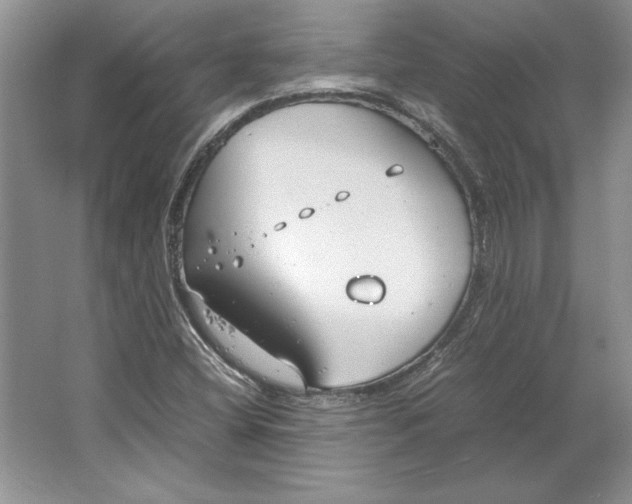 X0000064731404200603031629