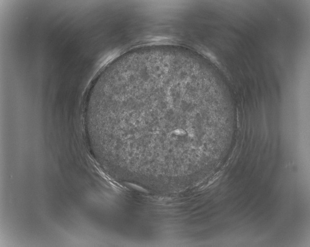 X0000064731405200603031630