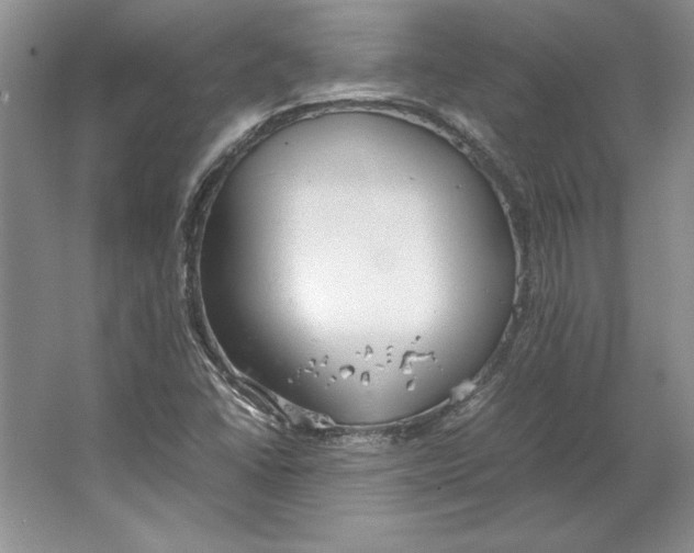 X0000064731406200603031630