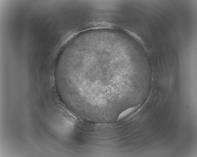 X0000064731407200603031630