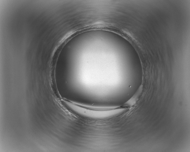 X0000064731410200603031630