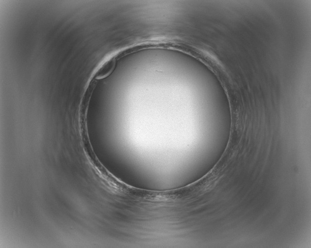 X0000064731412200603031630