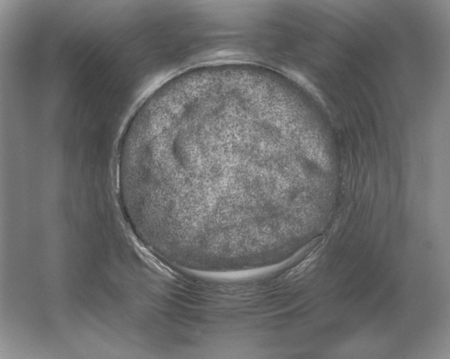 X0000064731413200603031630