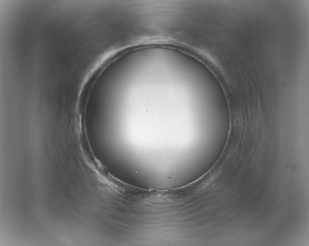 X0000064731414200603031630