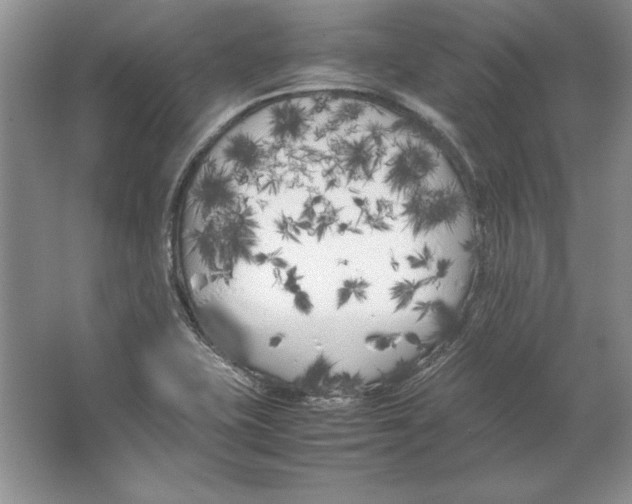 X0000064731415200603031630