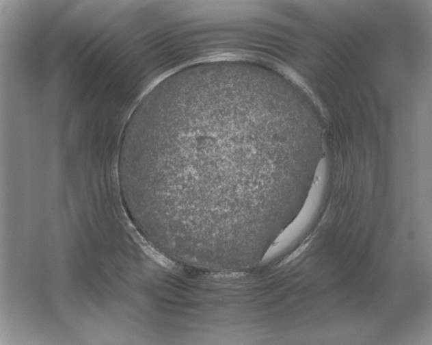 X0000064731417200603031630