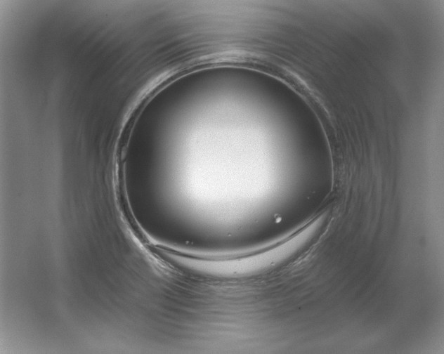 X0000064731418200603031630