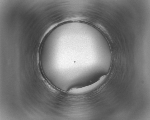 X0000064731420200603031630