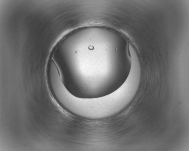 X0000064731422200603031630