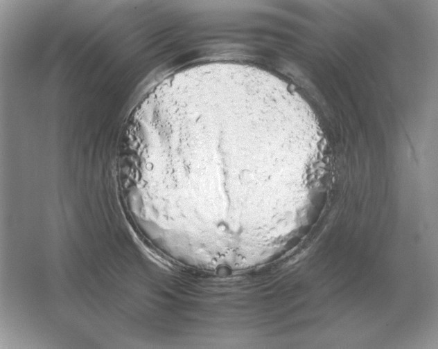 X0000064731425200603031630