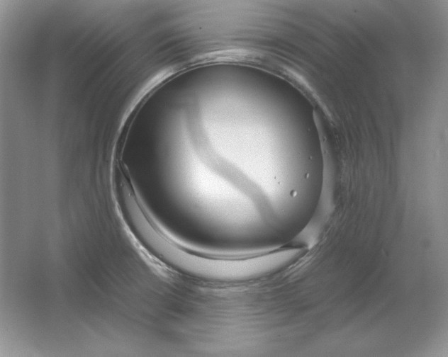 X0000064731426200603031630