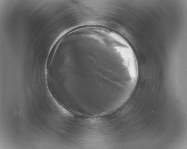 X0000064731428200603031630