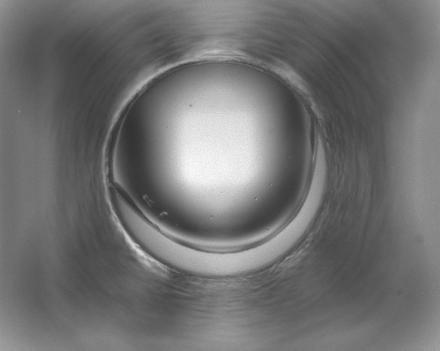 X0000064731430200603031630