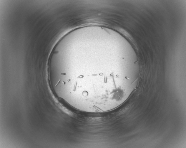 X0000064731431200603031630