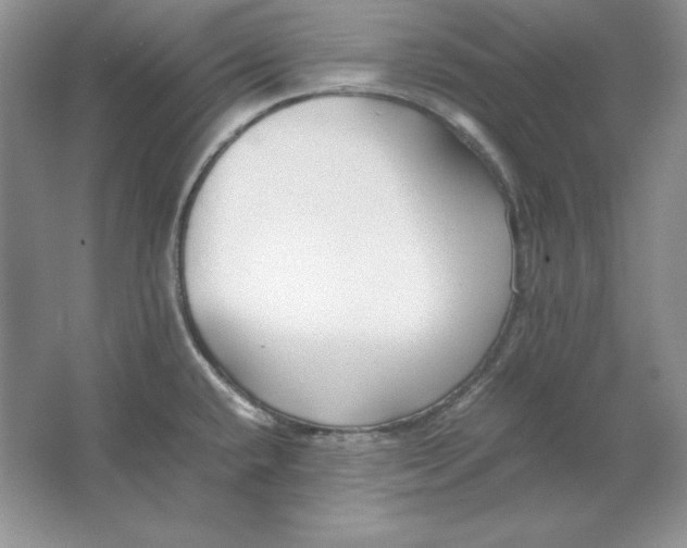 X0000064731432200603031630