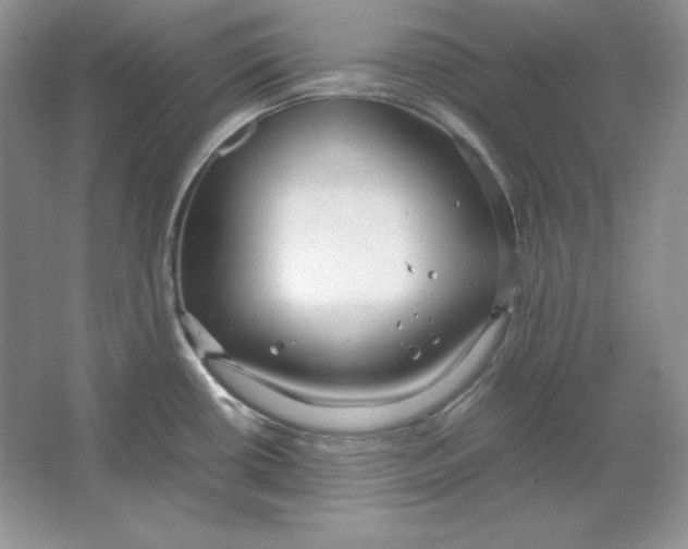 X0000064731434200603031630