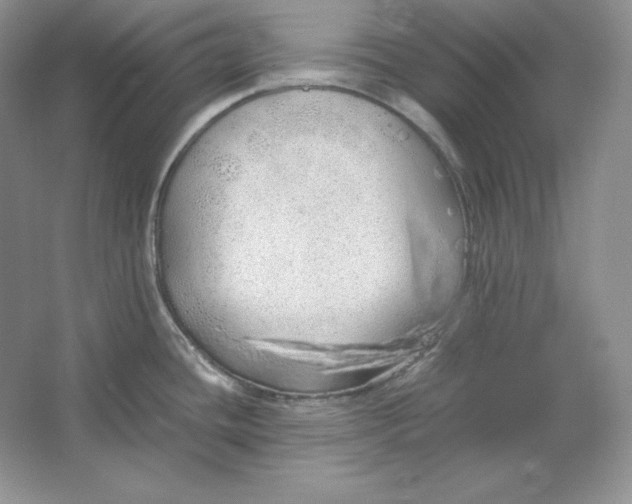 X0000064731436200603031630