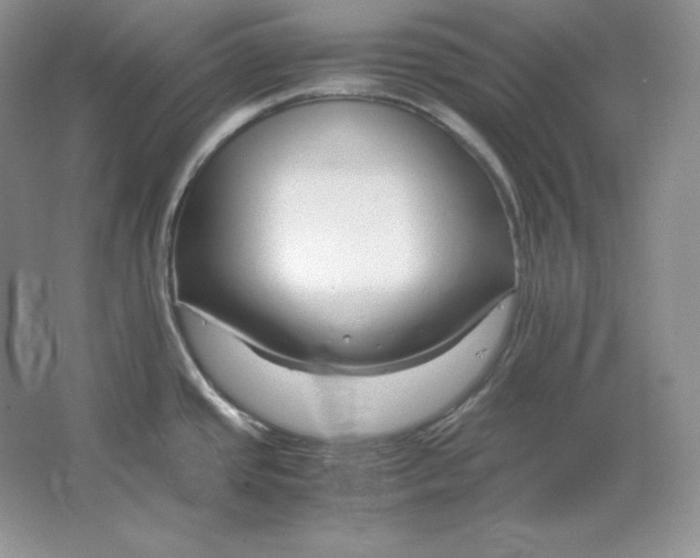 X0000064731437200603031630