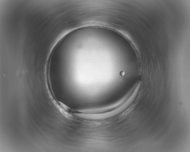 X0000064731438200603031630