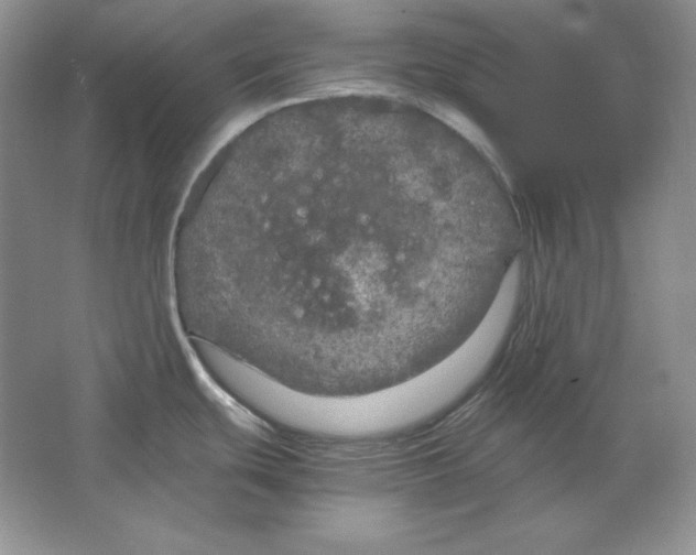 X0000064731439200603031630