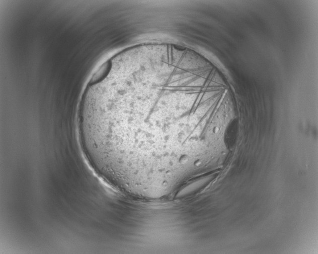 X0000064731440200603031630