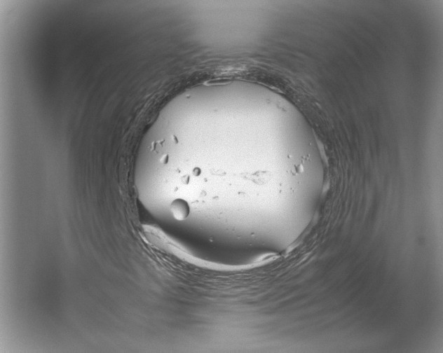 X0000064731441200603031629