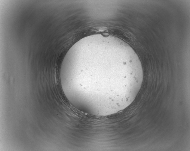 X0000064731442200603031629