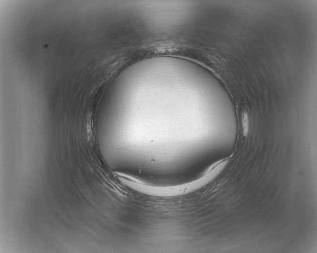 X0000064731444200603031629