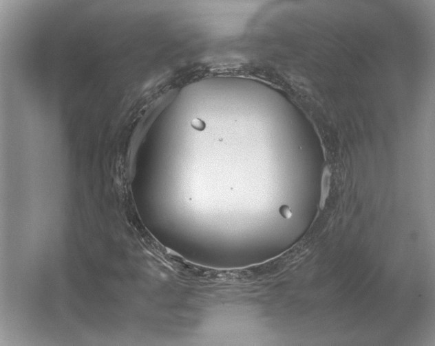 X0000064731445200603031629