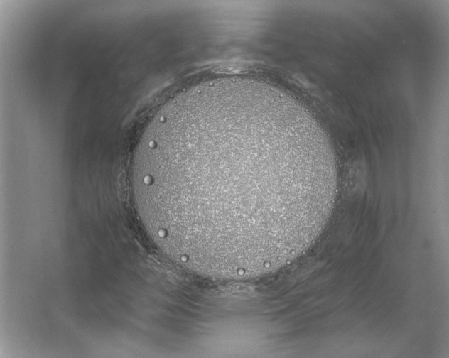 X0000064731446200603031629