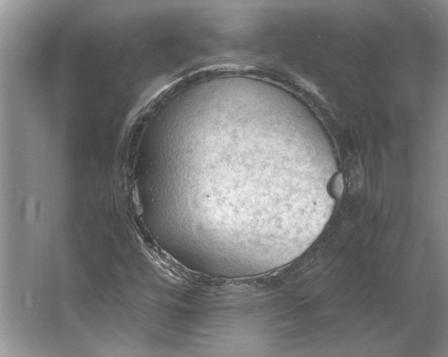 X0000064731448200603031629