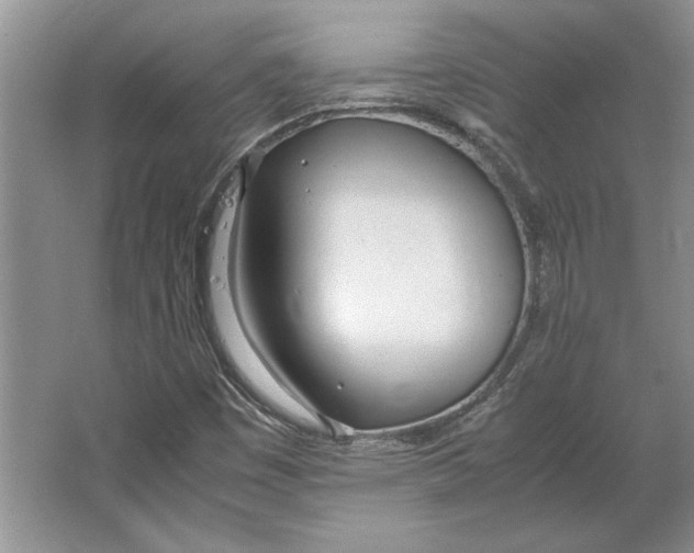 X0000064731449200603031629